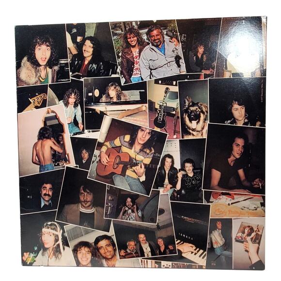 Lot of 3 A&M Vinyl Records Peter Frampton Chris de Burgh 12" 33 rpm Vintage - Picture 11 of 16